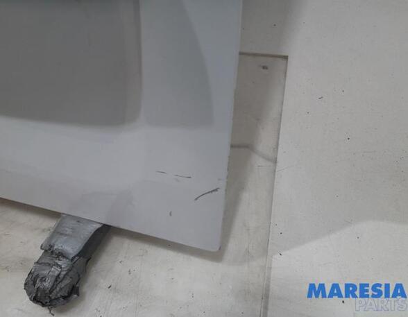 Rear Door OPEL Vivaro B Kasten (--)