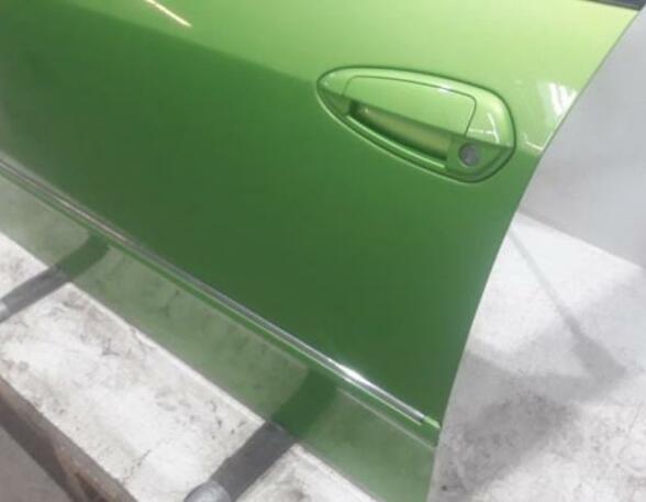 Door FIAT Punto (199)