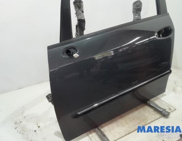 Door FIAT Grande Punto (199), FIAT Punto (199), FIAT Punto Evo (199)