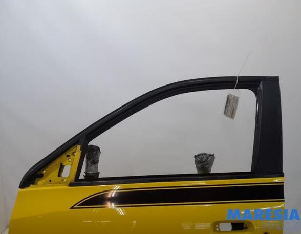 Door RENAULT Twingo III (BCM)