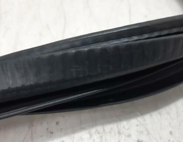 Door Seal ALFA ROMEO Stelvio (949)