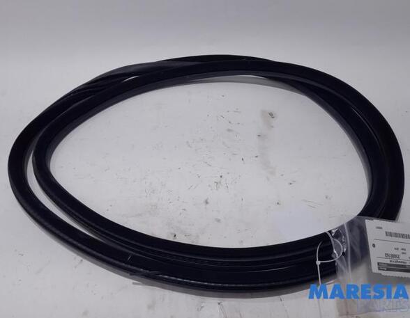 Door Seal PEUGEOT 508 SW I (8E_)