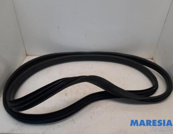 Door Seal RENAULT Zoe (BFM)