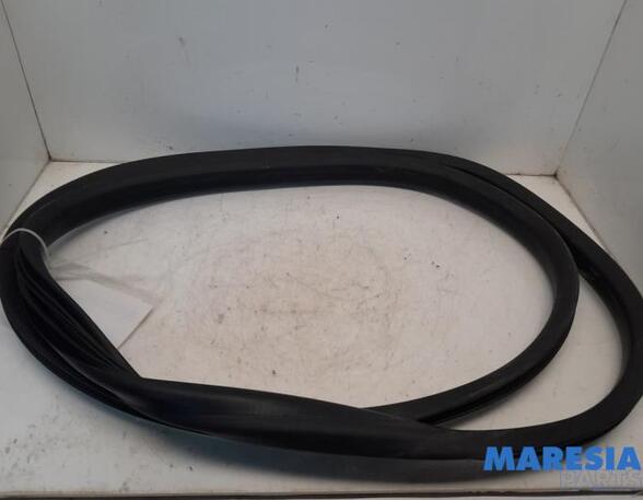 Door Seal RENAULT Zoe (BFM)