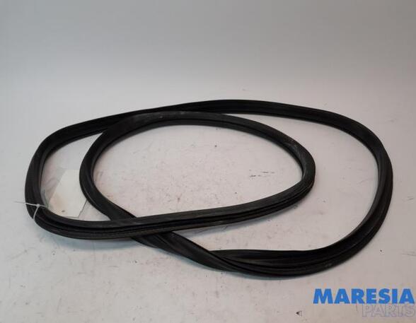 Door Seal ALFA ROMEO GIULIA (952_)