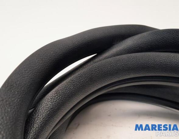 Door Seal FIAT PANDA (312_, 319_), FIAT PANDA VAN (312_, 519_), LANCIA YPSILON (312_)