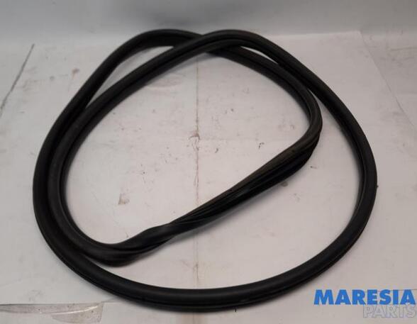 Door Seal FIAT PANDA (312_, 319_), LANCIA YPSILON (312_), FIAT PANDA VAN (312_, 519_)