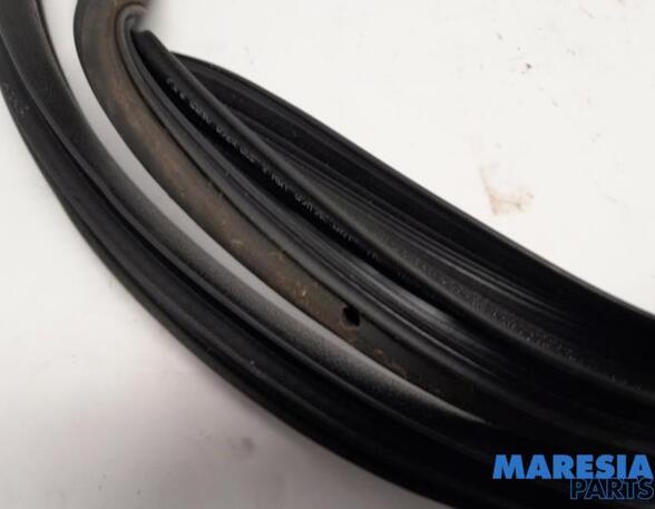 Door Seal FIAT PANDA (312_, 319_), LANCIA YPSILON (312_), FIAT PANDA VAN (312_, 519_)