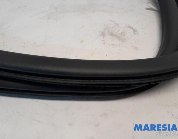 Door Seal CITROËN C4 III (BA_, BB_, BC_)