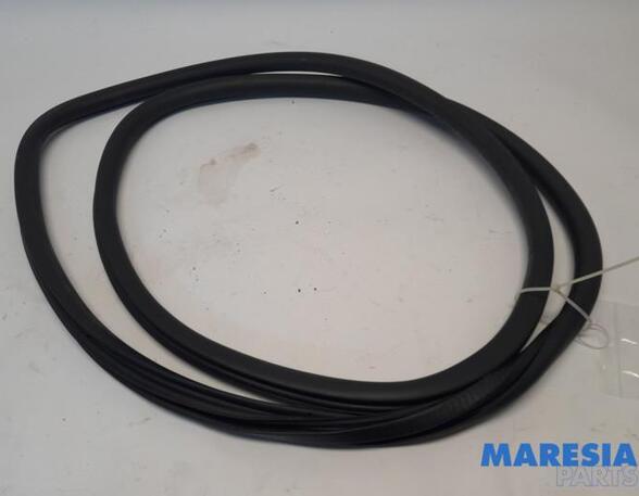 Door Seal PEUGEOT 308 II (LB_, LP_, LW_, LH_, L3_), PEUGEOT 308 SW II (LC_, LJ_, LR_, LX_, L4_)