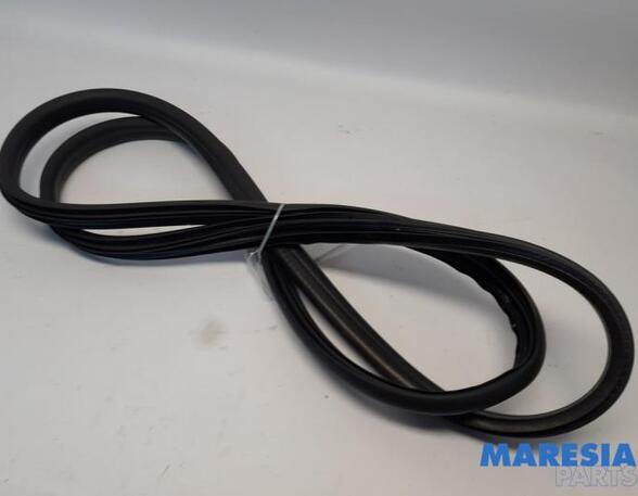 Door Seal RENAULT CAPTUR I (J5_, H5_), RENAULT CLIO IV (BH_), RENAULT CLIO IV Grandtour (KH_)