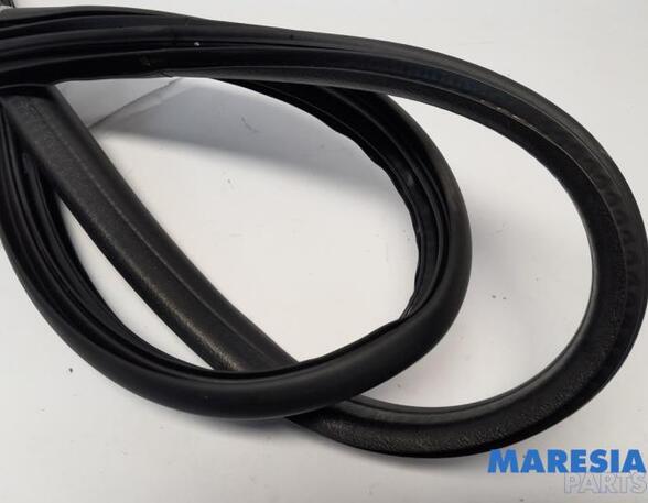 Door Seal RENAULT CAPTUR I (J5_, H5_), RENAULT CLIO IV (BH_), RENAULT CLIO IV Grandtour (KH_)