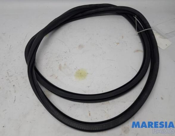 Door Seal PEUGEOT 308 II (LB_, LP_, LW_, LH_, L3_), PEUGEOT 308 SW II (LC_, LJ_, LR_, LX_, L4_)