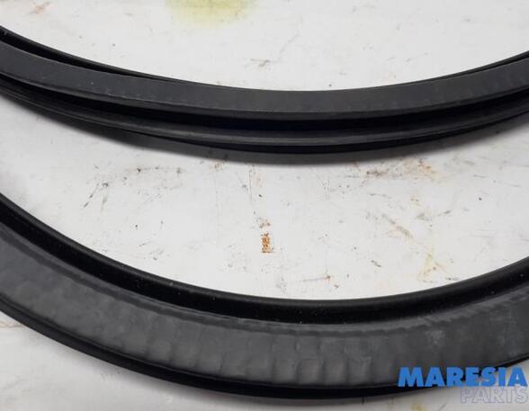 Door Seal PEUGEOT 308 II (LB_, LP_, LW_, LH_, L3_), PEUGEOT 308 SW II (LC_, LJ_, LR_, LX_, L4_)