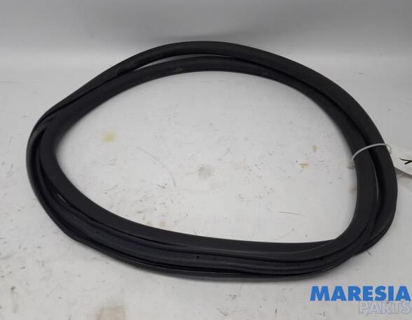 Door Seal PEUGEOT 308 II (LB_, LP_, LW_, LH_, L3_), PEUGEOT 308 SW II (LC_, LJ_, LR_, LX_, L4_)