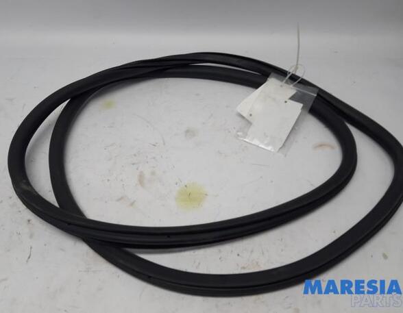 Door Seal PEUGEOT 308 SW II (LC_, LJ_, LR_, LX_, L4_), PEUGEOT 308 II (LB_, LP_, LW_, LH_, L3_)