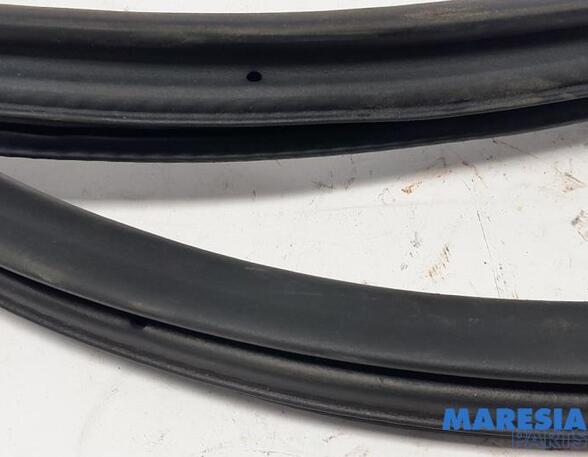 Door Seal PEUGEOT 308 SW II (LC_, LJ_, LR_, LX_, L4_), PEUGEOT 308 II (LB_, LP_, LW_, LH_, L3_)