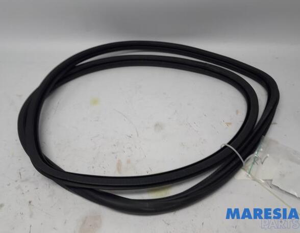 Door Seal PEUGEOT 308 SW II (LC_, LJ_, LR_, LX_, L4_), PEUGEOT 308 II (LB_, LP_, LW_, LH_, L3_)