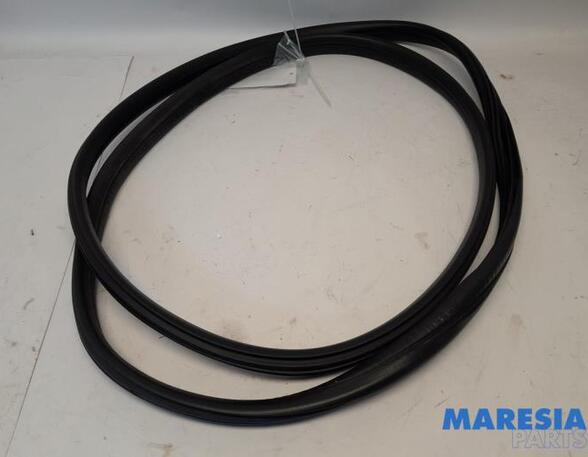 Door Seal PEUGEOT 3008 MPV (0U_), PEUGEOT 5008 (0U_, 0E_)