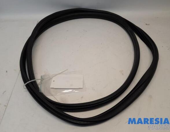 Door Seal PEUGEOT 3008 MPV (0U_), PEUGEOT 5008 (0U_, 0E_)