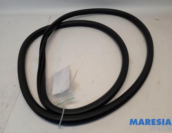 Door Seal PEUGEOT 3008 SUV (MC_, MR_, MJ_, M4_)