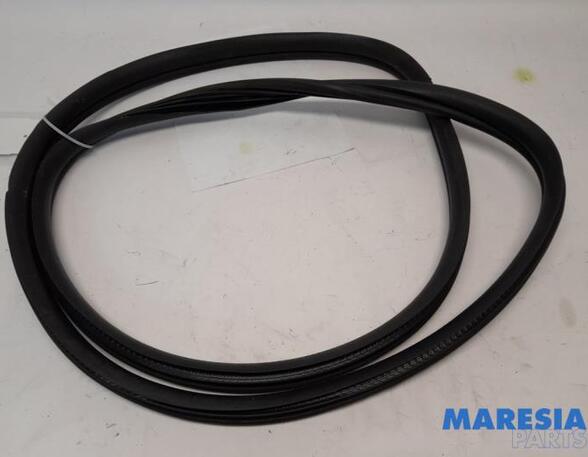 Door Seal FIAT PANDA (312_, 319_), FIAT PANDA VAN (312_, 519_)