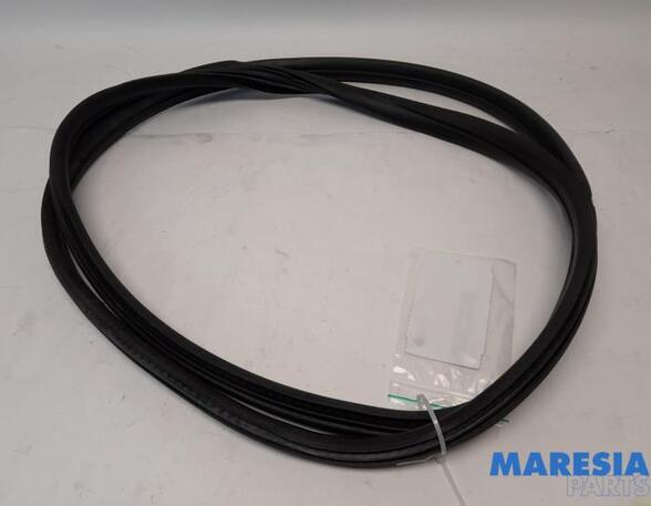 Door Seal PEUGEOT 3008 MPV (0U_)