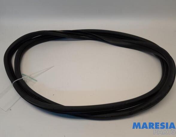 Door Seal FIAT 500 (312_), FIAT 500 C (312_)