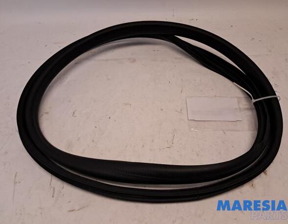 Door Seal RENAULT ARKANA I (LCM_, LDN_)