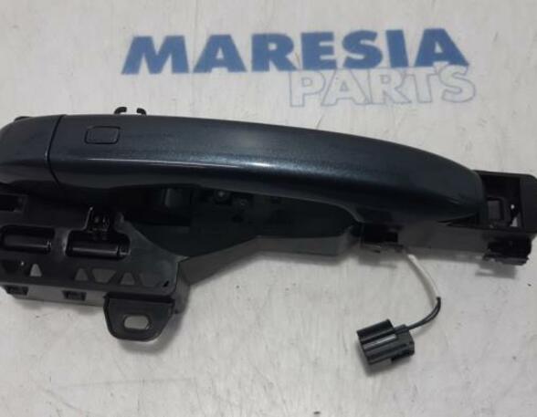 Door Handle RENAULT Clio V (BF)