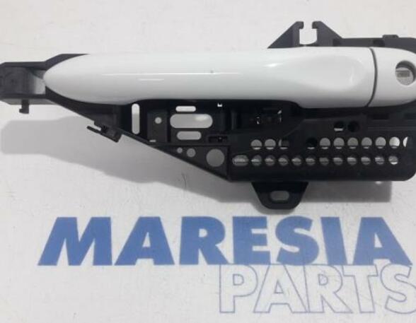 Door Handle RENAULT Captur I (H5, J5), RENAULT Clio IV (BH)