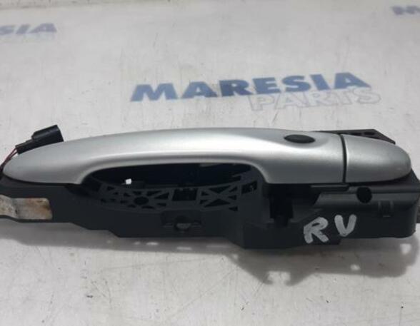 Door Handle RENAULT Captur I (H5, J5), RENAULT Clio IV (BH)