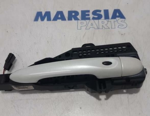 Door Handle RENAULT Zoe (BFM)