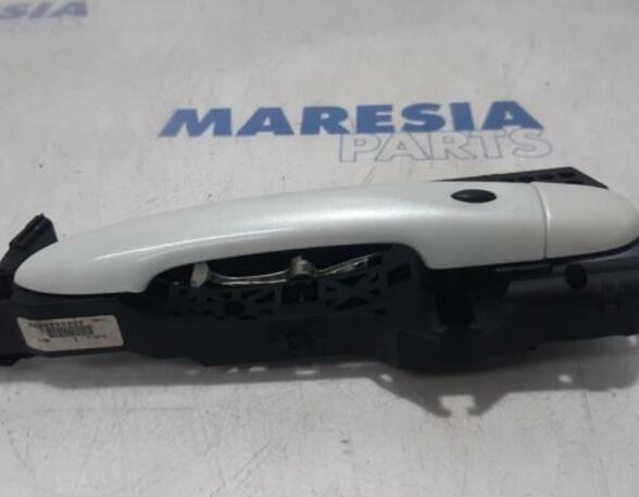 Door Handle RENAULT Zoe (BFM)