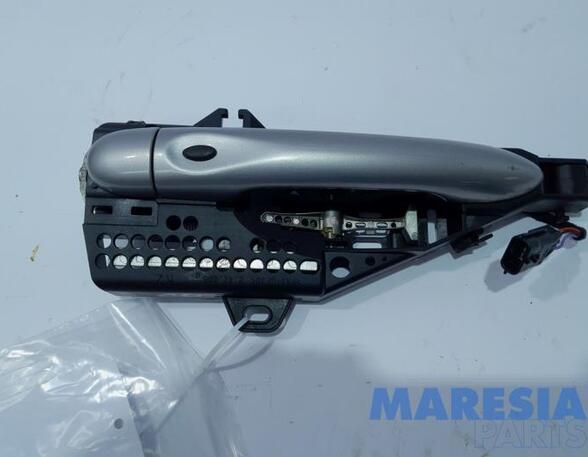 Door Handle RENAULT Zoe (BFM)