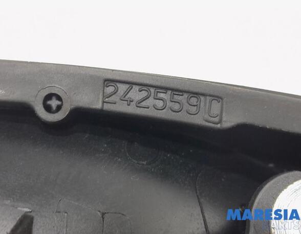 Door Handle FIAT DOBLO Cargo (263_), FIAT DOBLO MPV (263_), FIAT DOBLO Platform/Chassis (263_)