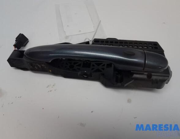 Door Handle RENAULT Zoe (BFM)