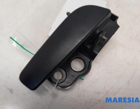 Door Handle FIAT FIORINO Box Body/MPV (225_), FIAT QUBO (225_)