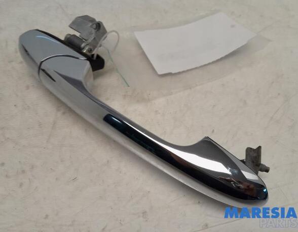 Door Handle FIAT 500 (312_), FIAT 500 C (312_)