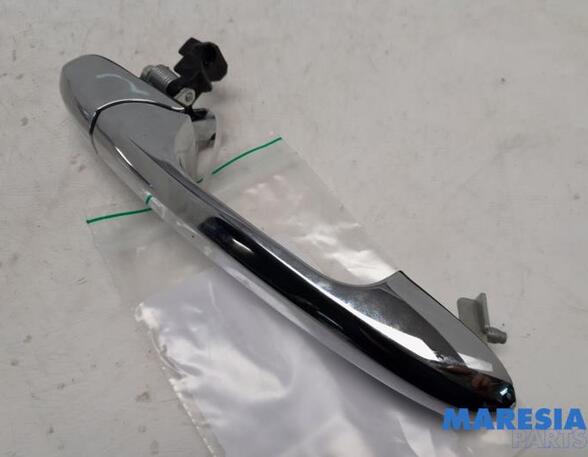 Door Handle FIAT 500 (312_), FIAT 500 C (312_)