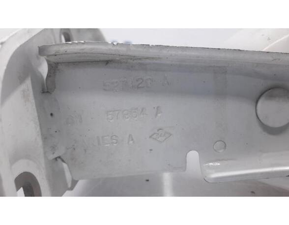 Door Hinge RENAULT Trafic II Kasten (FL)