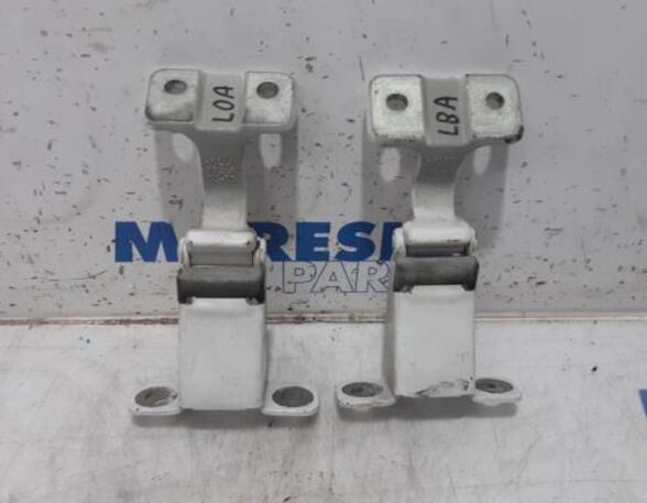 Door Hinge RENAULT KANGOO Express (FW0/1_)