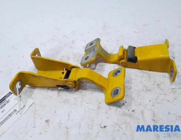 Door Hinge RENAULT KANGOO Express (FW0/1_), RENAULT KANGOO / GRAND KANGOO (KW0/1_)