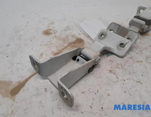 Door Hinge RENAULT KANGOO Express (FW0/1_), RENAULT KANGOO / GRAND KANGOO (KW0/1_)