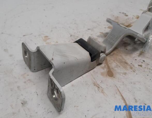 Door Hinge RENAULT KANGOO Express (FW0/1_), RENAULT KANGOO / GRAND KANGOO (KW0/1_)