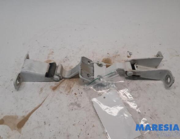 Door Hinge RENAULT KANGOO Express (FW0/1_), RENAULT KANGOO / GRAND KANGOO (KW0/1_)