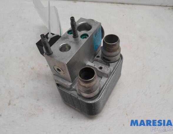 Air Conditioning Expansion Valve CITROËN C4 III (BA_, BB_, BC_)