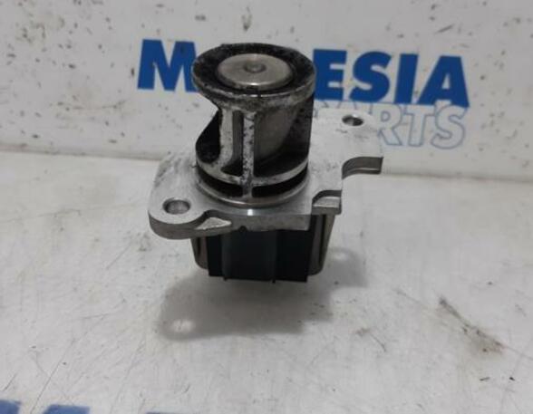 EGR Valve RENAULT MEGANE III Grandtour (KZ0/1)