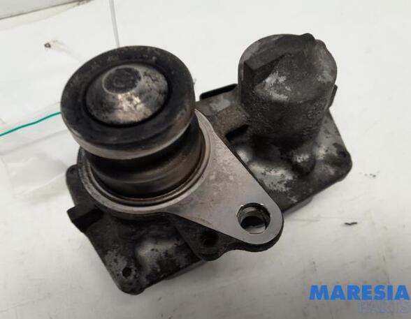 EGR Valve RENAULT Trafic III Kasten (FG)