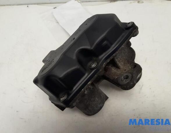 EGR Valve RENAULT Trafic III Kasten (FG)